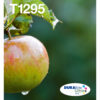 S7732680_0