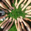 Gemeinschaftsarbeit Nonprofit Organisationen
